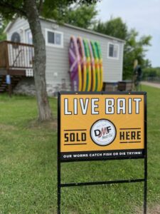 Live Bait for sale